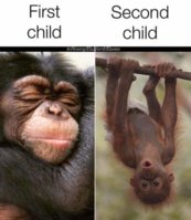 FB_IMG_1602943359627.jpg
