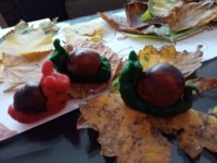 IMG_20201016_112659.jpg