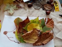 IMG_20201016_110445.jpg