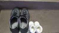 IMG_20201021_074936.jpg