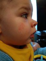 IMG_20201021_125945.jpg