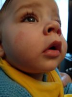 IMG_20201021_125948.jpg