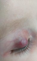 IMG_20201022_113448.jpg