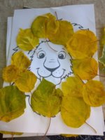 IMG_20201019_164540.jpg