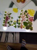 IMG_20201017_205822.jpg