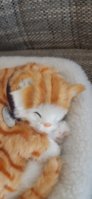 20201024_144413.jpg