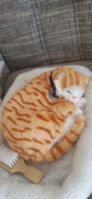 20201024_144418.jpg