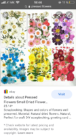 4982B96C-57BF-4A68-832E-E5FFB1662C5A.png