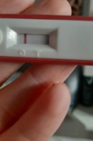 20201027_072231.jpg