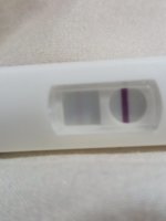 IMG_20201027_180604.jpg