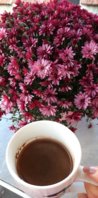 IMG_20201029_082846_863.jpg