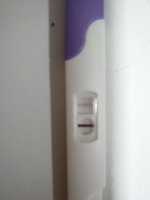 IMG_20201030_071457.jpg