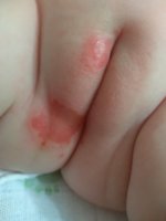 IMG_20201101_094544_HHT.jpg