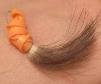 20201104_225258.jpg
