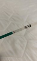 8E7BA45F-B250-4D49-B04B-582337DAE535.jpeg