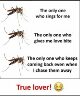 20201108_140958.png