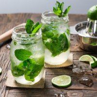 mojito-5a8f339fba61770036ec61d8.jpg