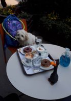 20201113_231116.jpg