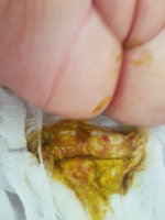 20201115_104111.jpg