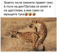 FB_IMG_1597742795739.jpg