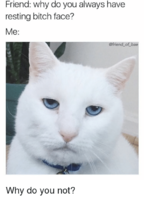 friend-why-do-you-always-have-resting-bitch-face-me-3573088.png