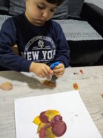 IMG_20201118_124504.jpg