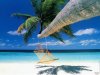 beach-hammock-nature.jpg
