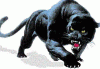 Panther_Active2.GIF