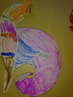 IMG_20201123_175800.jpg