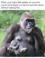 5F2A5F8A-53C9-4BDB-9150-8F5FC1F566F9.jpeg
