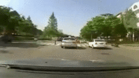 AridRichFattaileddunnart-size_restricted.gif