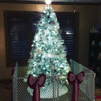 protecting-christmas-tree-from-dogs-cats-pets-20-585a7712cbf7a__605.jpg