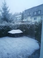 IMG_20201201_080813.jpg
