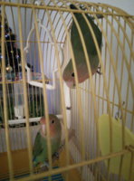 IMG_20201201_195658.jpg