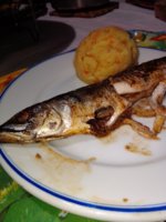 IMG_20201202_154635.jpg