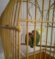 IMG_20201202_180841.jpg