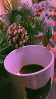 FC247269-B24C-43DD-8693-95473850C91B.jpeg