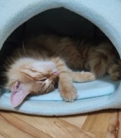 IMG_20201205_171517.jpg