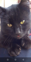 Screenshot_20201206-192427.png