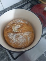 20201207_101105.jpg