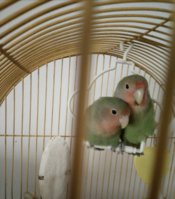 IMG_20201207_182421.jpg