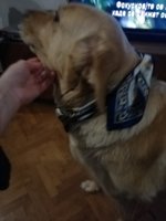 IMG_20201115_174030.jpg