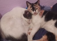 IMG_20201207_195052.jpg