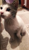 IMG_20201207_194912.jpg