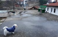 20201208_232924.jpg