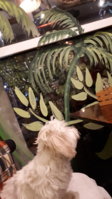 20201208_165519.jpg