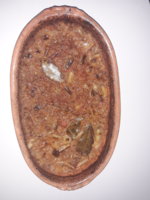 20201209_133449.jpg