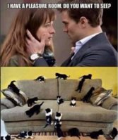 FB_IMG_1607536453050.jpg