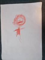 IMG_20201207_202429.jpg