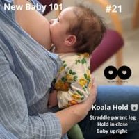 koala.jpg